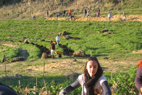 Trabalho de campo