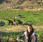 Trabalho de campo