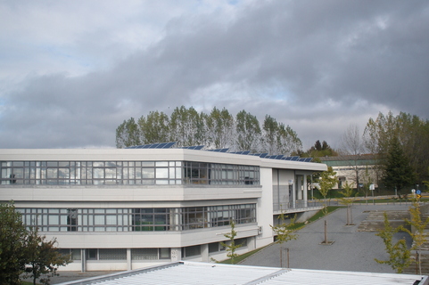 Mangualde