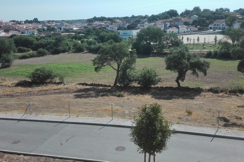 Coopernico s silvestre03