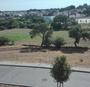Coopernico s silvestre03