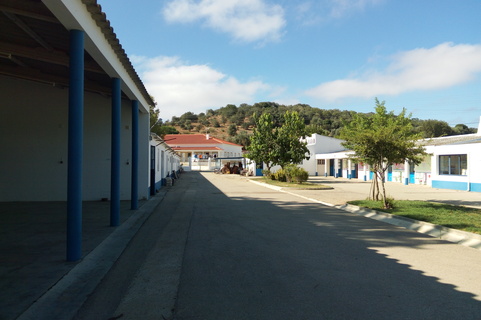 Cercimor 06