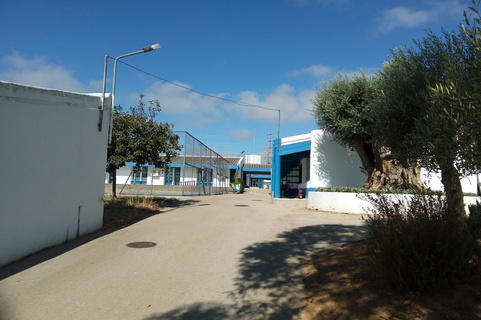 Cercimor 05