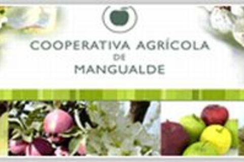 Cooperativa mangualde