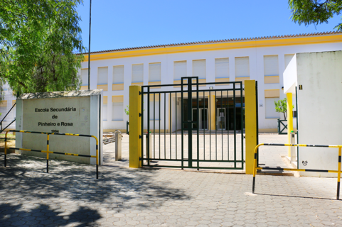 Es pinheiro e rosa 1