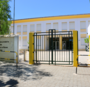 Es pinheiro e rosa 1