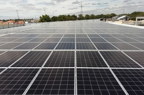 20190806 adega palmela pv coopernico01