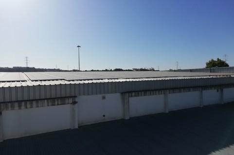 20190902 adega palmela pv coopernico02