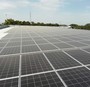 20190913 adega palmela pv coopernico04